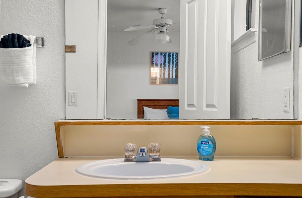 Villa 4Bd 2 Mi To Usf Free Pool + 24 Hour Gym Tampa Esterno foto