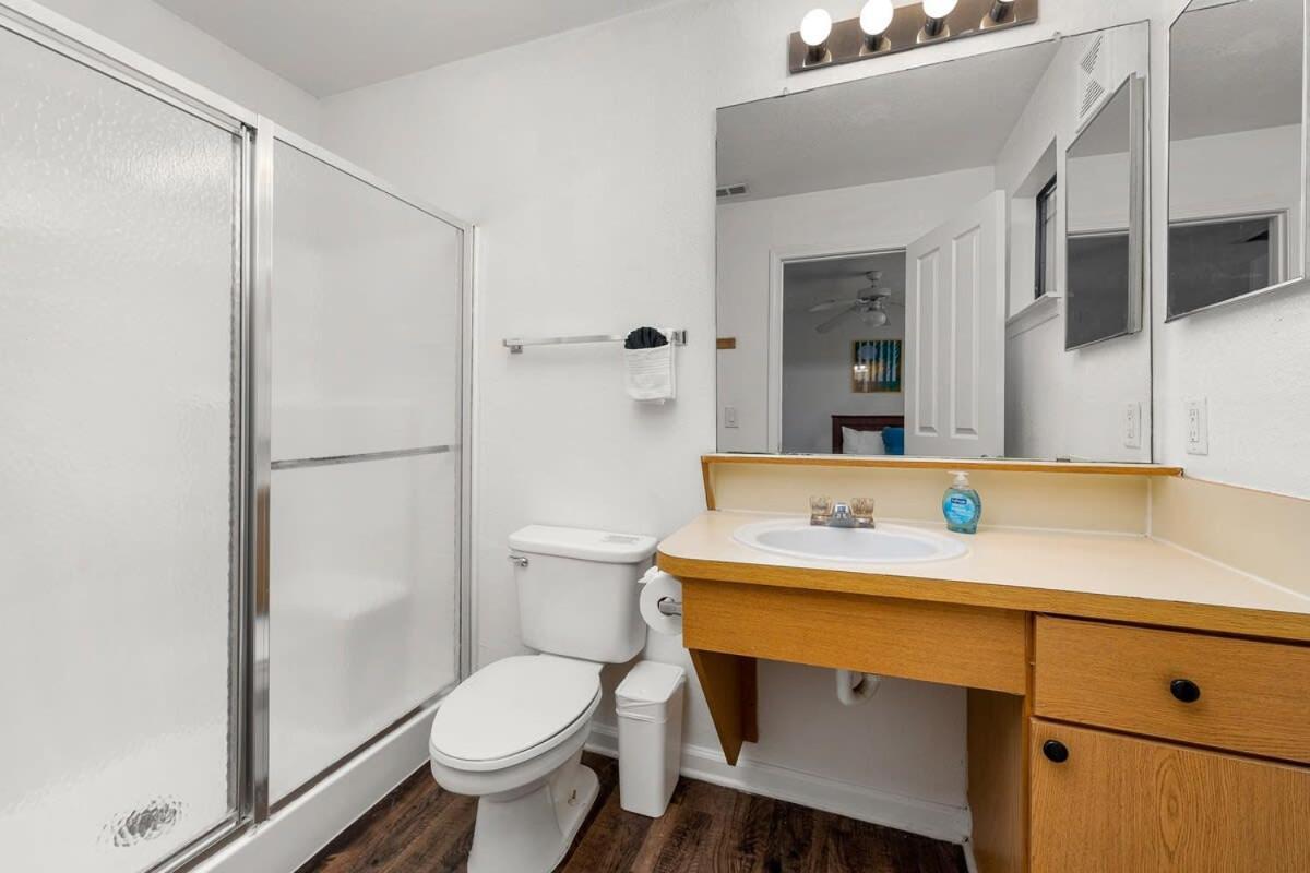 Villa 4Bd 2 Mi To Usf Free Pool + 24 Hour Gym Tampa Esterno foto